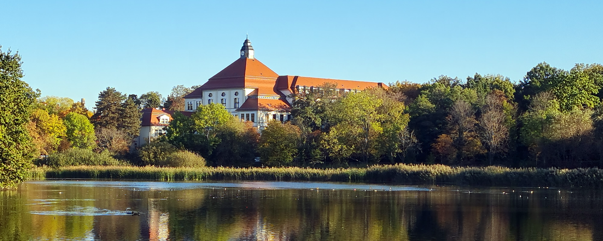 GYMNASIUM „AM BREITEN TEICH“ Borna